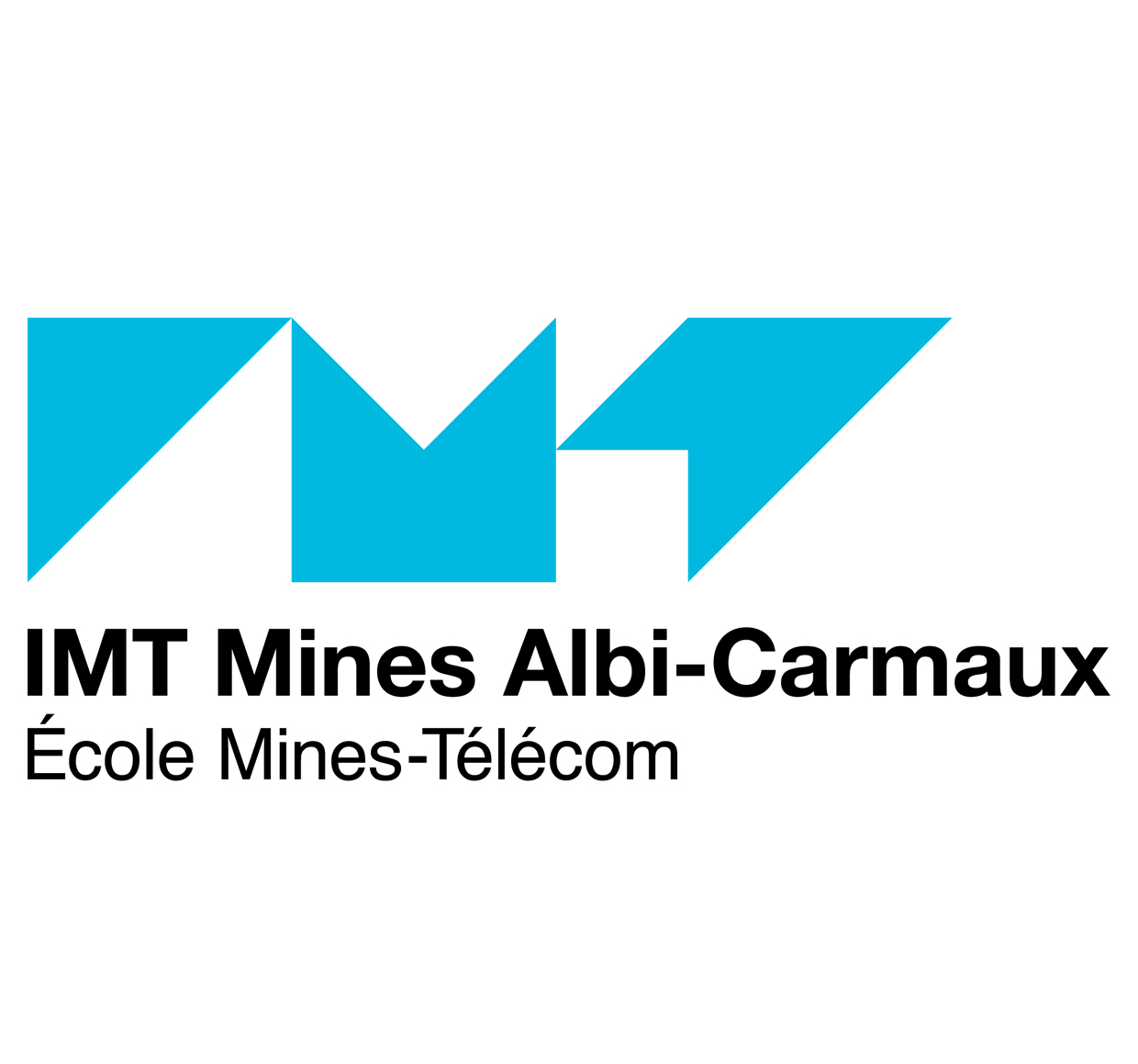IMT